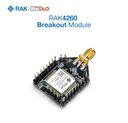 [319004] RAK4260 Breakout Board (AS923)