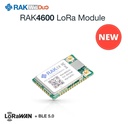 [319004] RAK4600  WisDuo LPWAN Module (AS923)