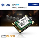 [119000] WisBlock Core (AS923)